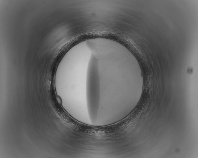 X0000094370640200711301449