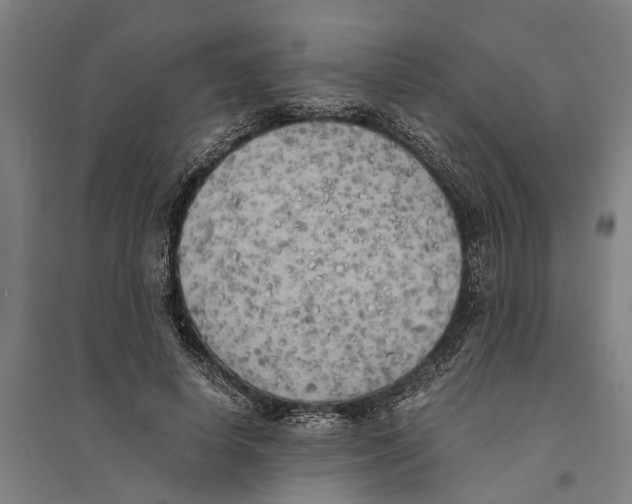X0000094370642200711301449
