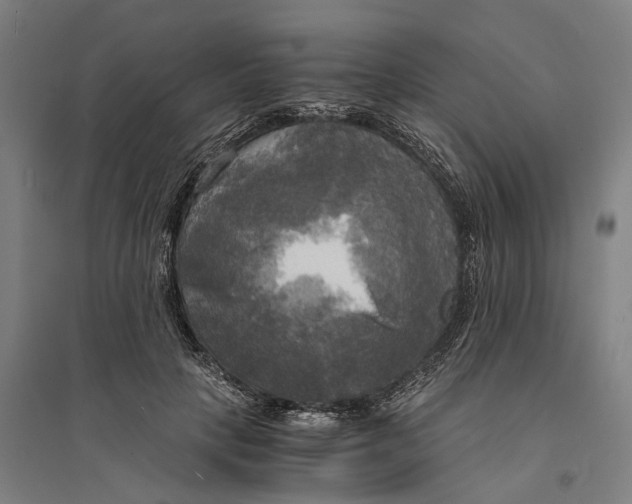 X0000094370649200711301449