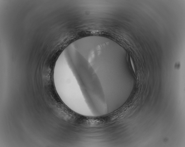 X0000094370650200711301449