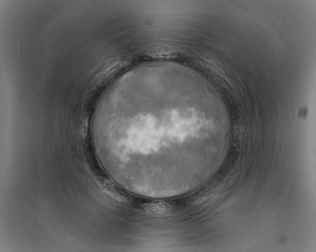 X0000094370652200711301449