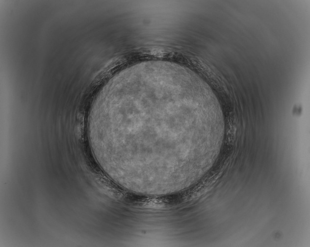 X0000094370656200711301449