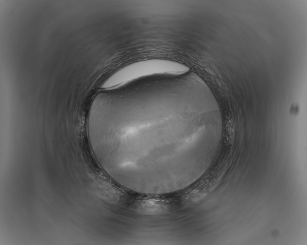 X0000094370657200711301449