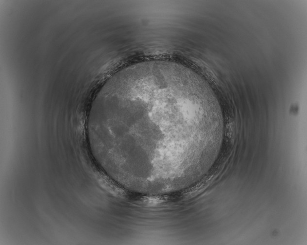 X0000094370662200711301449