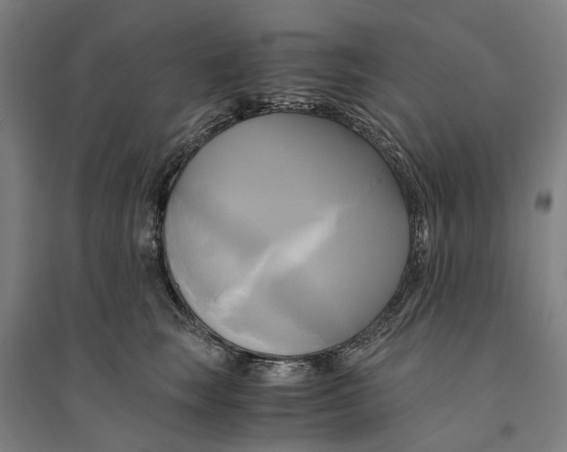 X0000094370663200711301450