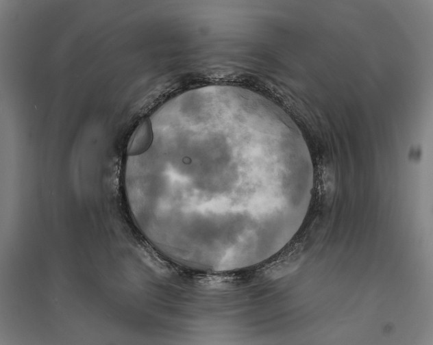 X0000094370664200711301450