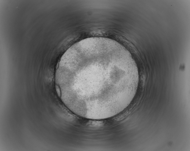 X0000094370665200711301450