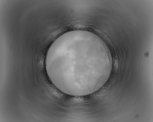 X0000094370668200711301450