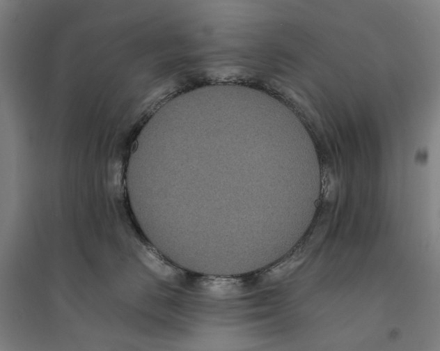 X0000094370670200711301450