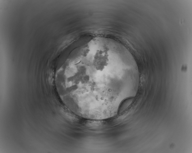 X0000094370671200711301450