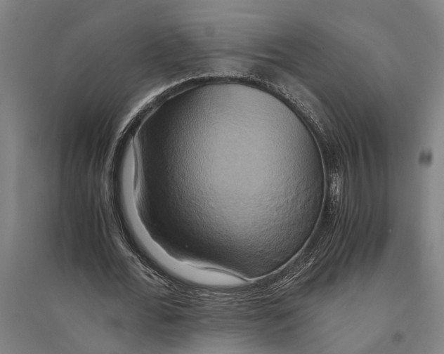 X0000094370676200711301449