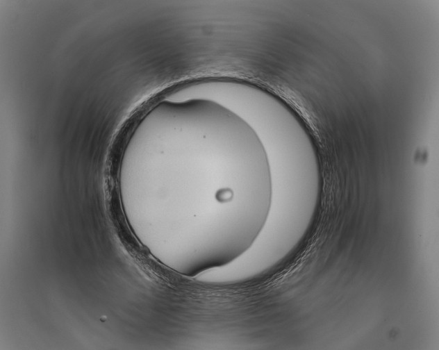 X0000094370680200711301449