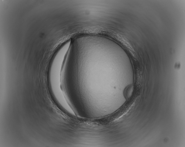 X0000094370681200711301449