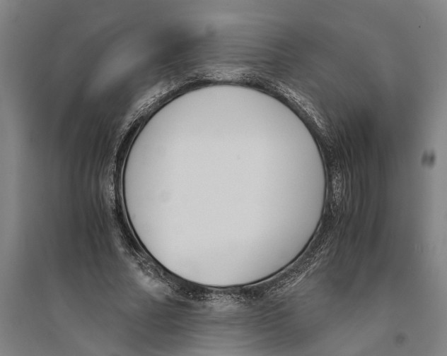 X0000094370682200711301449