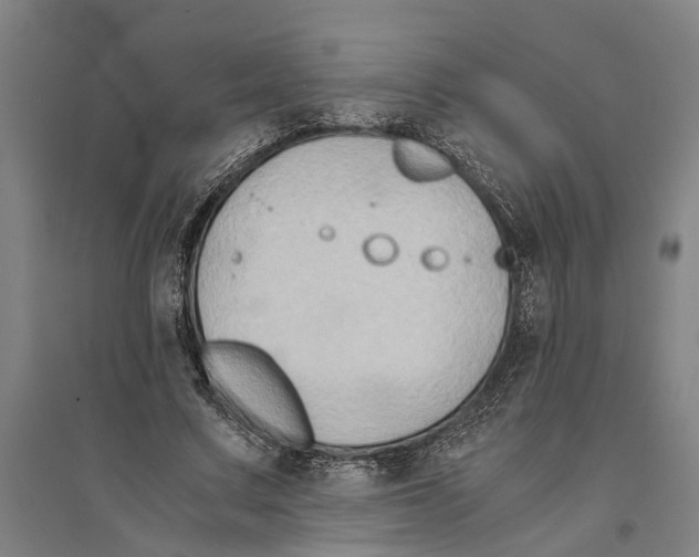 X0000094370683200711301449