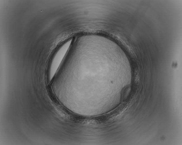 X0000094370685200711301449