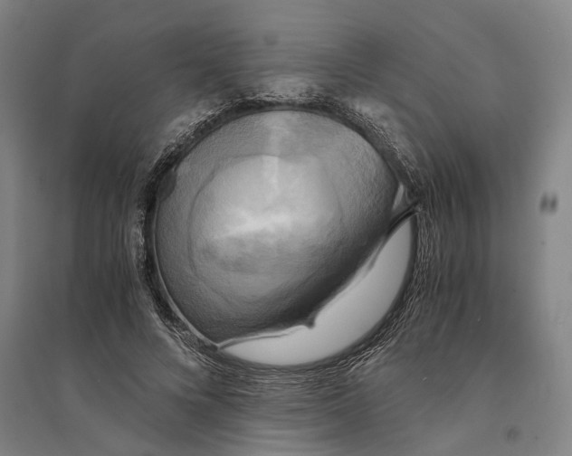 X0000094370688200711301449