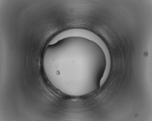 X0000094370692200711301449