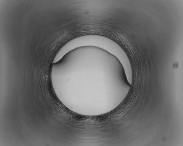 X0000094370697200711301449