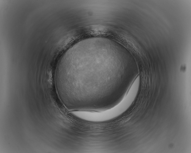 X0000094370700200711301449