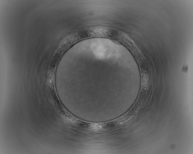 X0000094370701200711301449