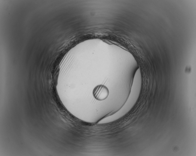 X0000094370704200711301449