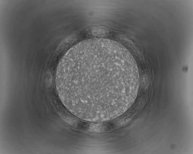 X0000094370705200711301449