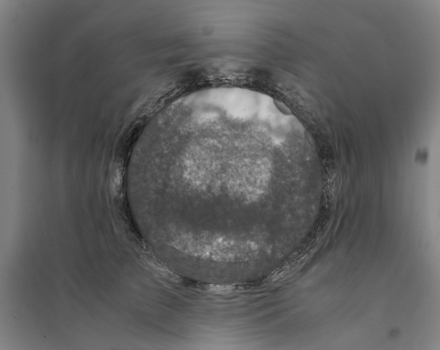 X0000094370709200711301448