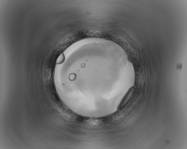 X0000094370711200711301448