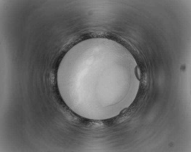 X0000094370715200711301448