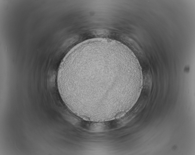 X0000094370717200711301448