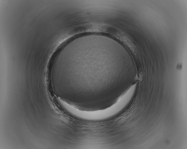 X0000094370724200711301448