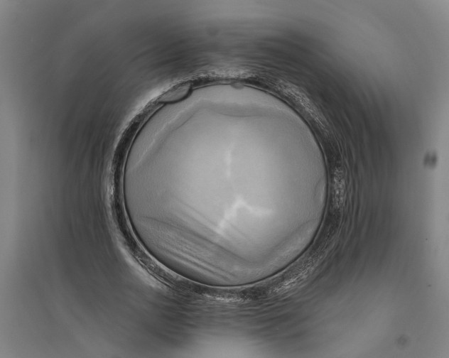 X0000094370726200711301448