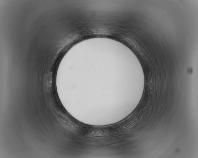 X0000094370731200711301448