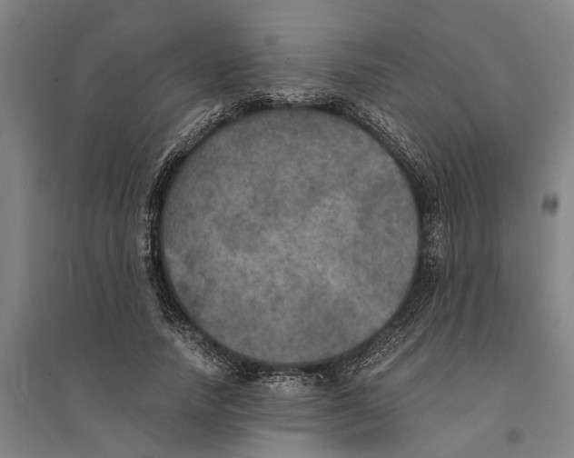 X0000094370738200711301448