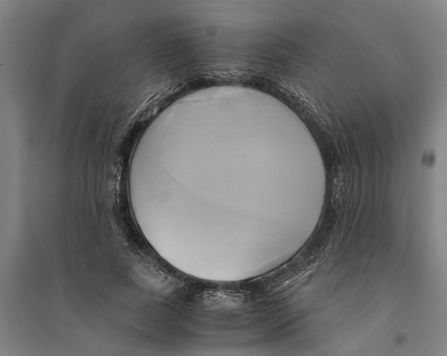 X0000094370739200711301448