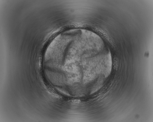 X0000094370740200711301448