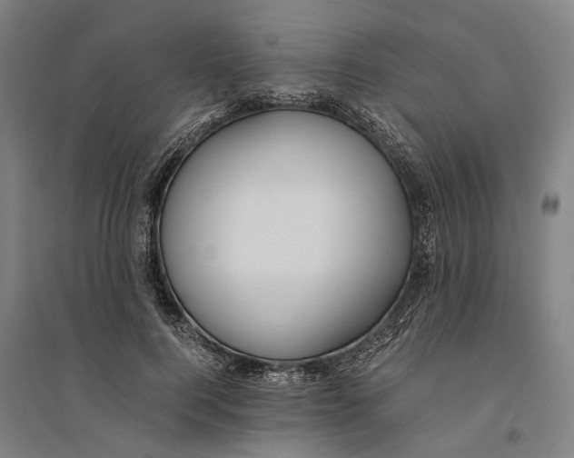 X0000094370744200711301448