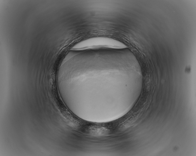 X0000094370747200711301448