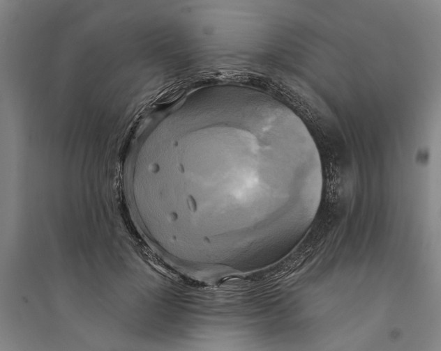 X0000094370748200711301448