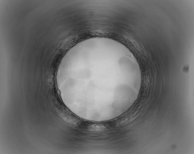 X0000094370749200711301448