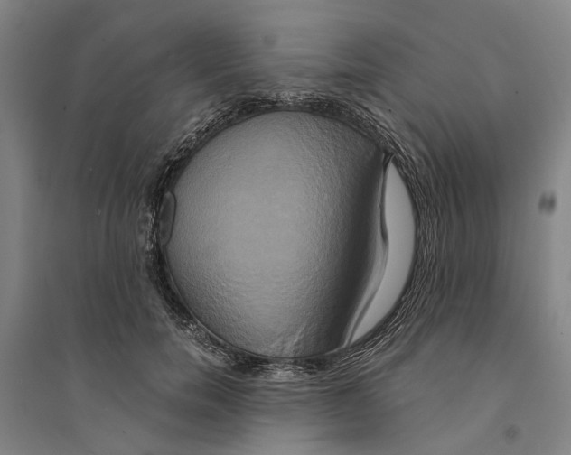 X0000094370750200711301448