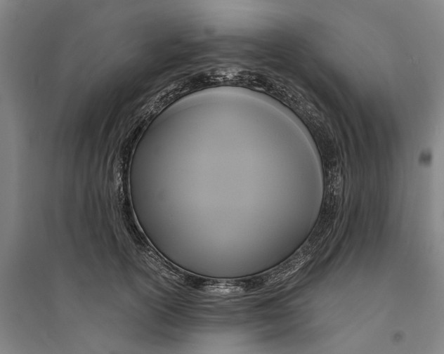 X0000094370754200711301448