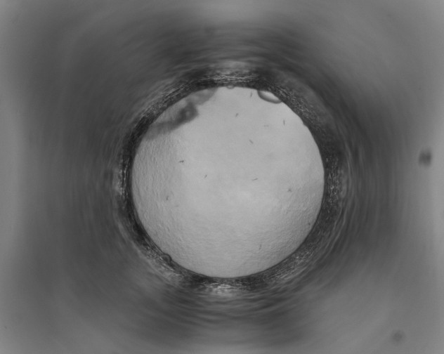 X0000094370755200711301448