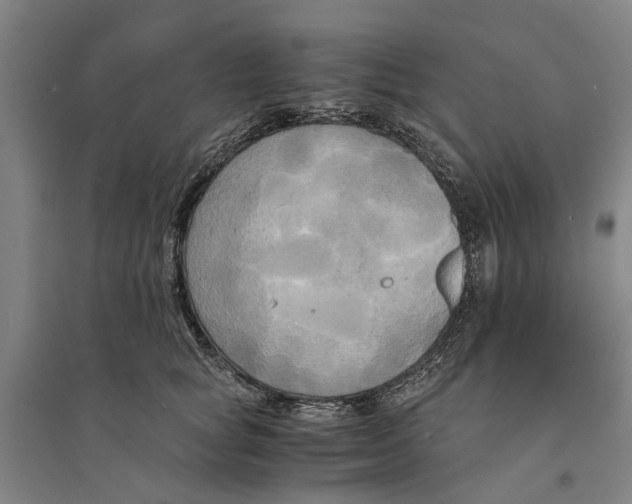 X0000094370757200711301448