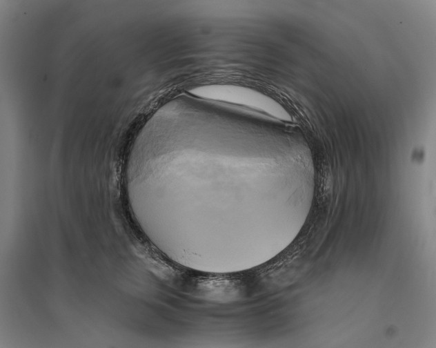 X0000094370759200711301448