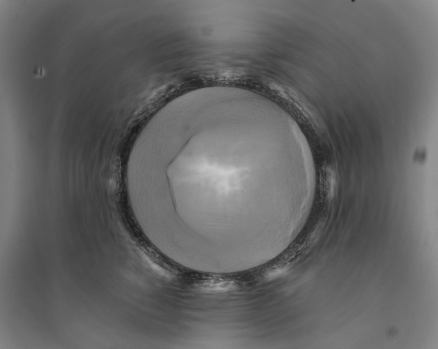 X0000094370760200711301448