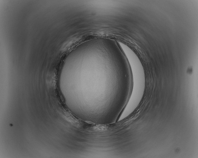 X0000094370762200711301448