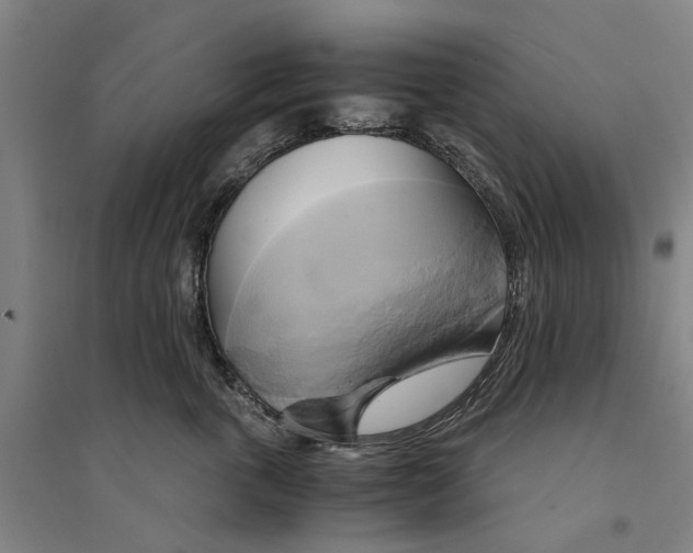 X0000094370763200711301448