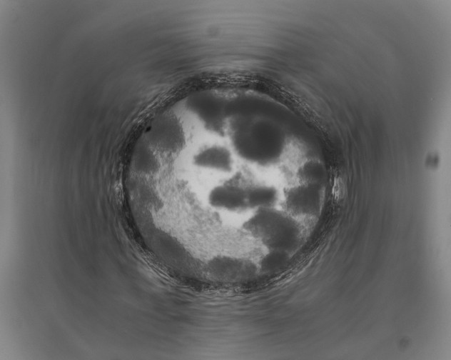 X0000094370771200711301447